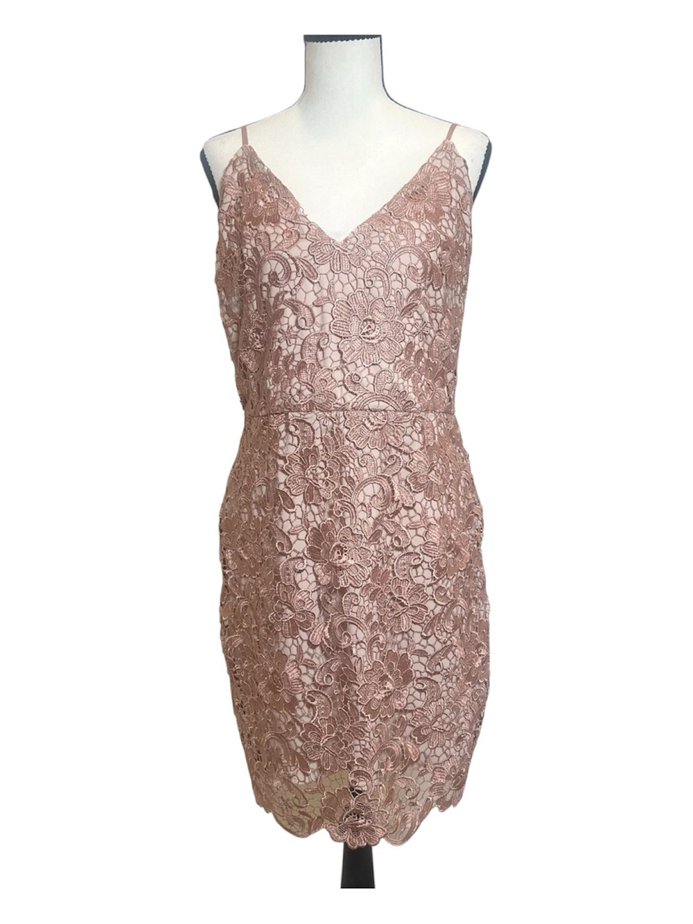 Express Floral Lace Bodycon V-Neck Mini Dress Rose Gold Cocktail Dress Womens 12